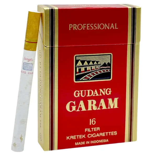 Gudang Garam Professional 16